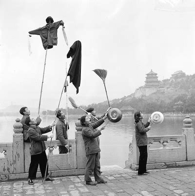 老鼠屁股|50年代“除四害”，小学生发明奇招，老鼠肛门塞黄豆，事半功倍